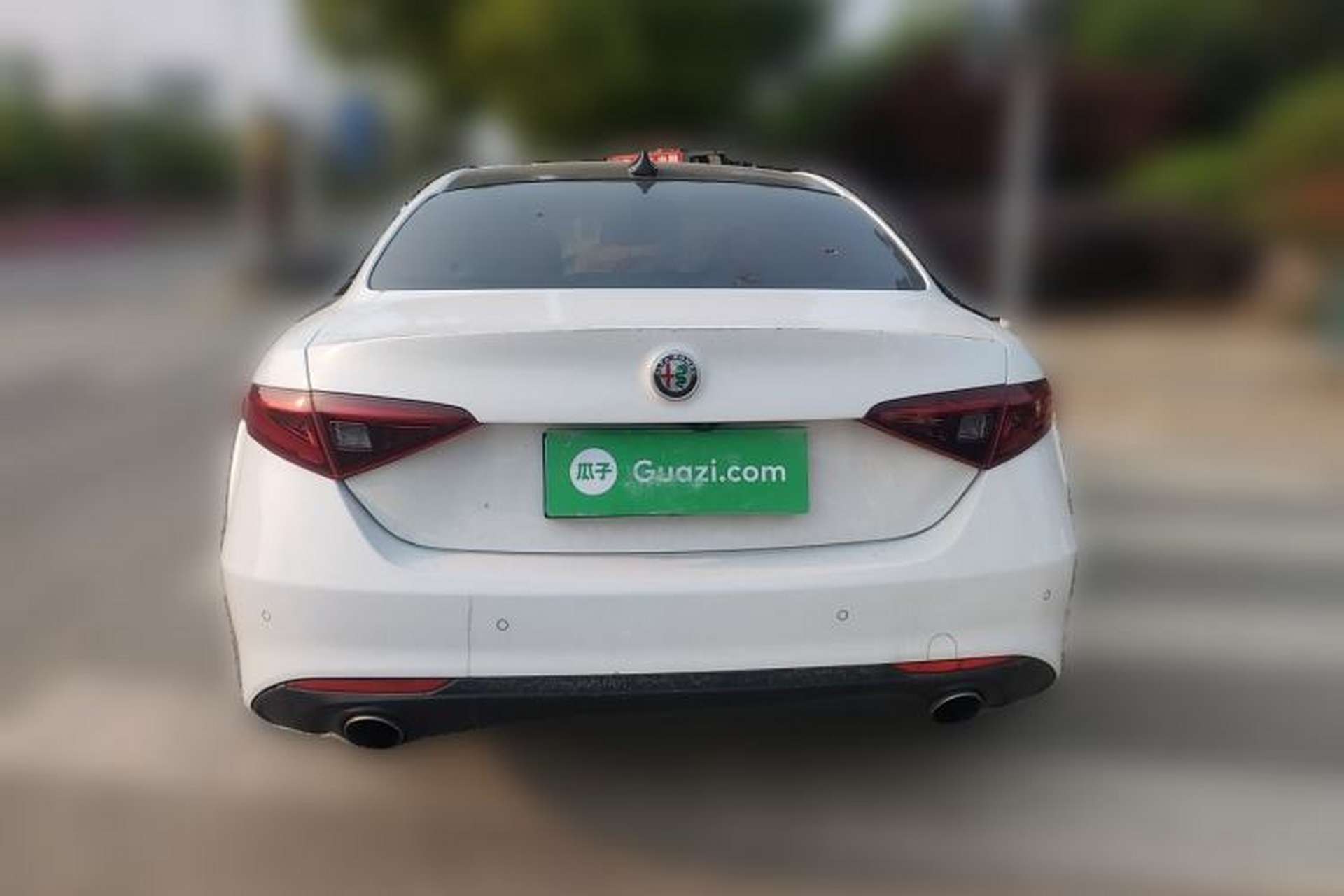 Used Alfa Romeo Giulia 2017 2.0T 280HP Luxury Edition Rear