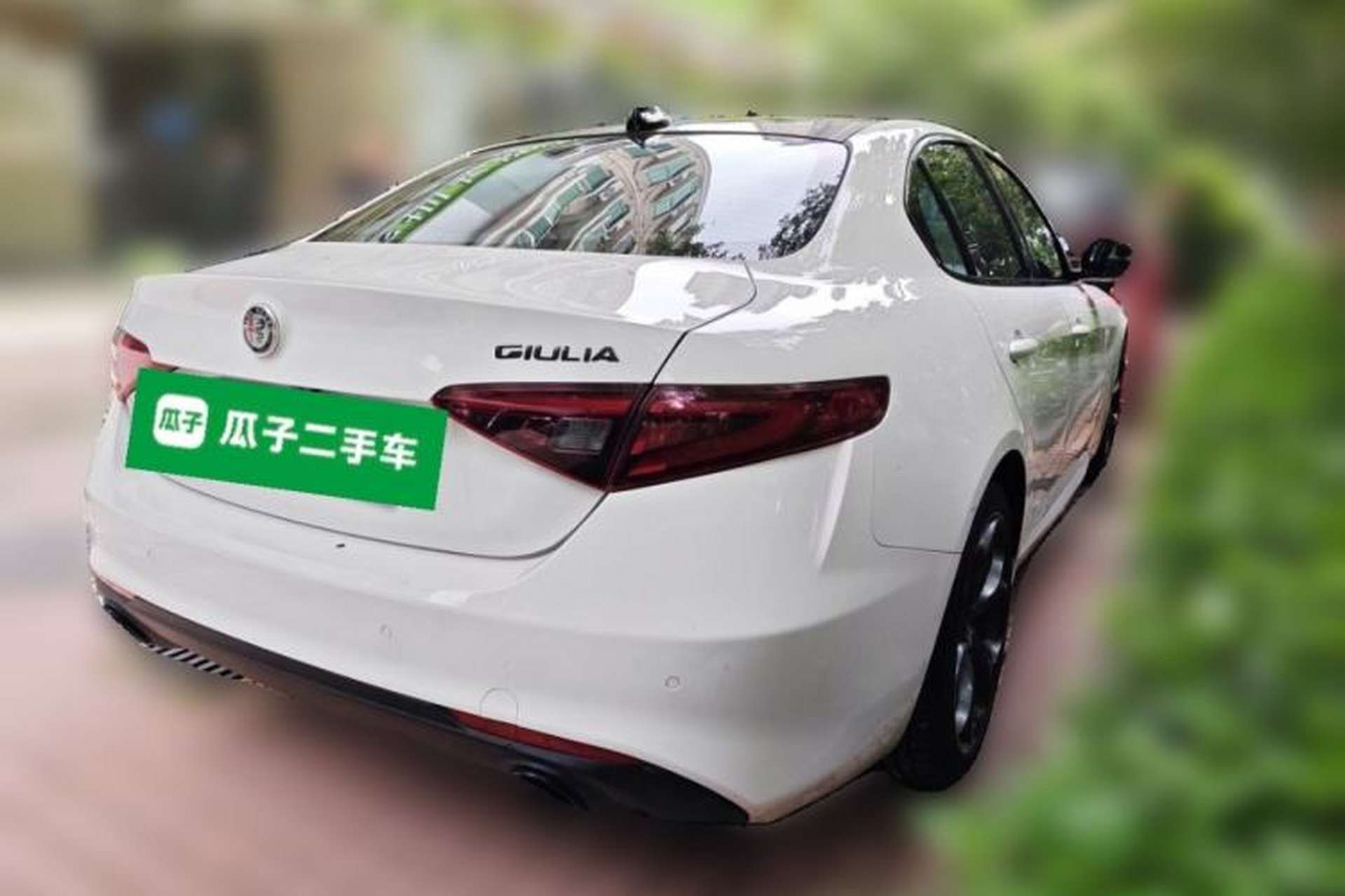 Used Alfa Romeo Giulia 2019 2.0T 280HP Black Package Limited Edition Rear Right 45 Deg