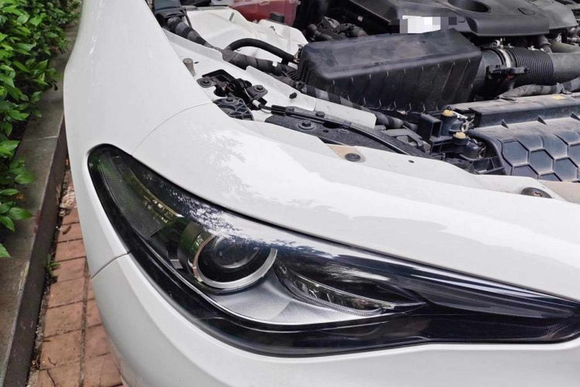 Used Alfa Romeo Giulia 2019 2.0T 280HP Black Package Limited Edition Right Front Headlight