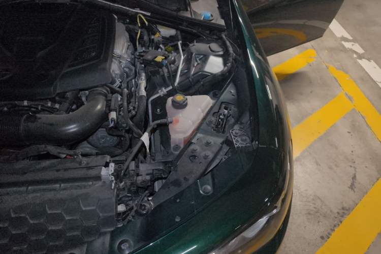 Used Alfa Romeo Giulia 2021 2.0T 280HP Luxury Edition Engine Bay Left