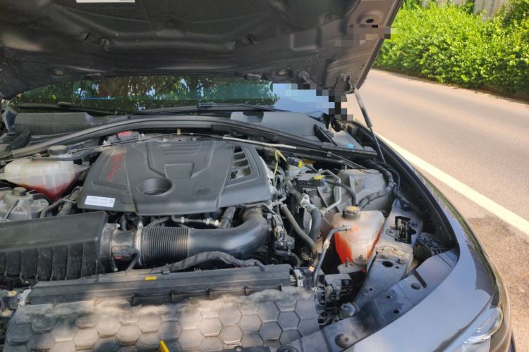 Used Alfa Romeo Giulia 2022 2.0T 280HP Veloce Track Edition Engine Bay Left