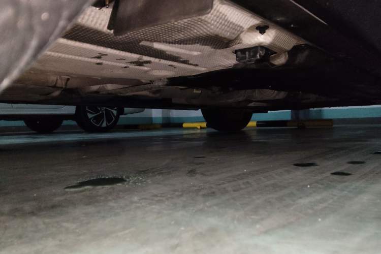 Used Alfa Romeo Stelvio 2017 2.0T 200HP Elite Edition Chassis Rear Right
