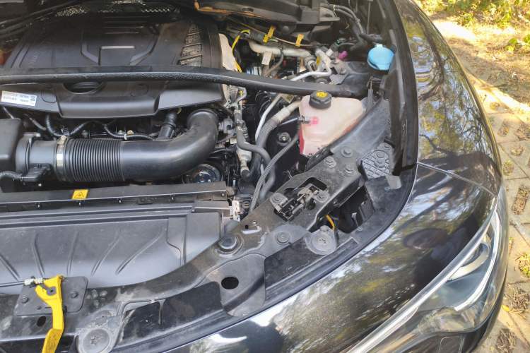 Used Alfa Romeo Stelvio 2017 2.0T 200HP Luxury Edition Engine Bay Left