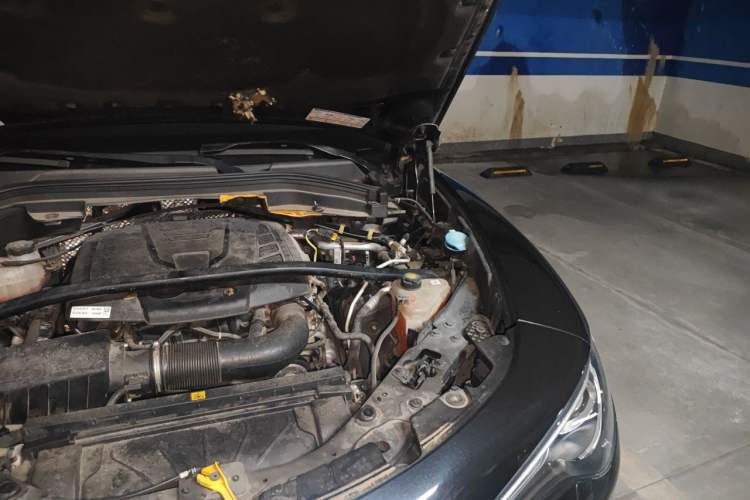 Used Alfa Romeo Stelvio 2017 2.0T 200HP Elite Edition Engine Bay Left