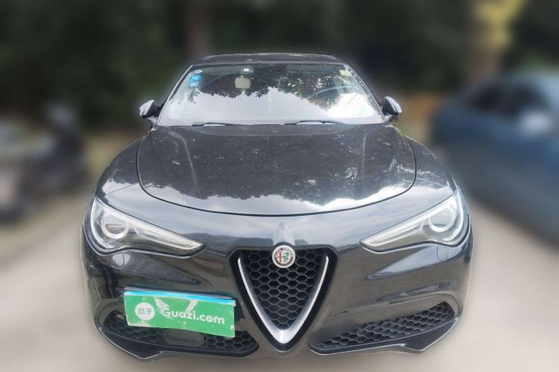 Used Alfa Romeo Stelvio 2017 2.0T 200HP Elite Edition Exterior 1