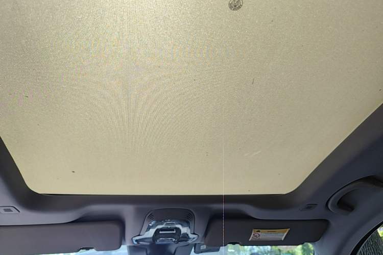 Used Alfa Romeo Stelvio 2017 2.0T 200HP Luxury Edition Headliner