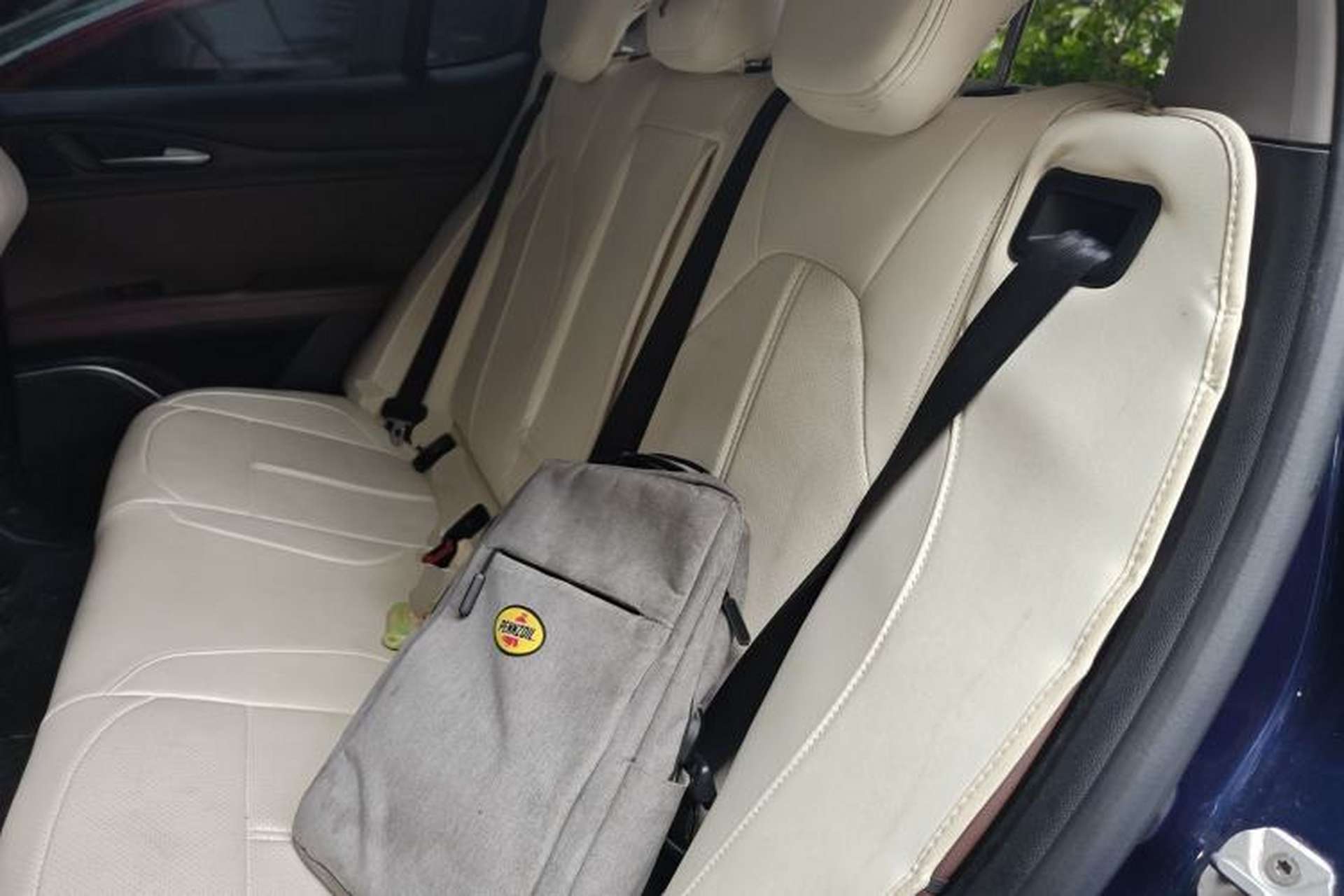 Used Alfa Romeo Stelvio 2017 2.0T 200HP Elite Edition Left Rear Seat