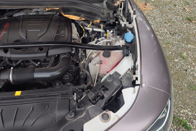 Used Alfa Romeo Stelvio 2017 2.0T 280HP Luxury Edition Engine Bay Left