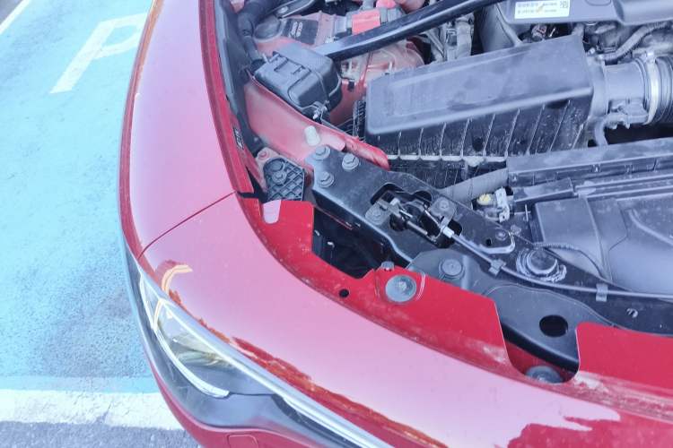 Used Alfa Romeo Stelvio 2017 2.0T 200HP Elite Edition Engine Bay Right