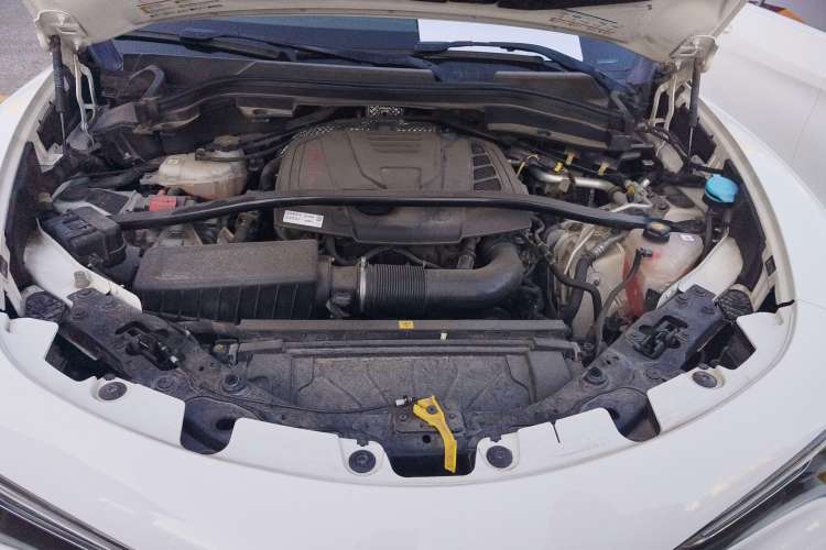 Used Alfa Romeo Stelvio 2017 2.0T 280HP Luxury Edition Engine Bay