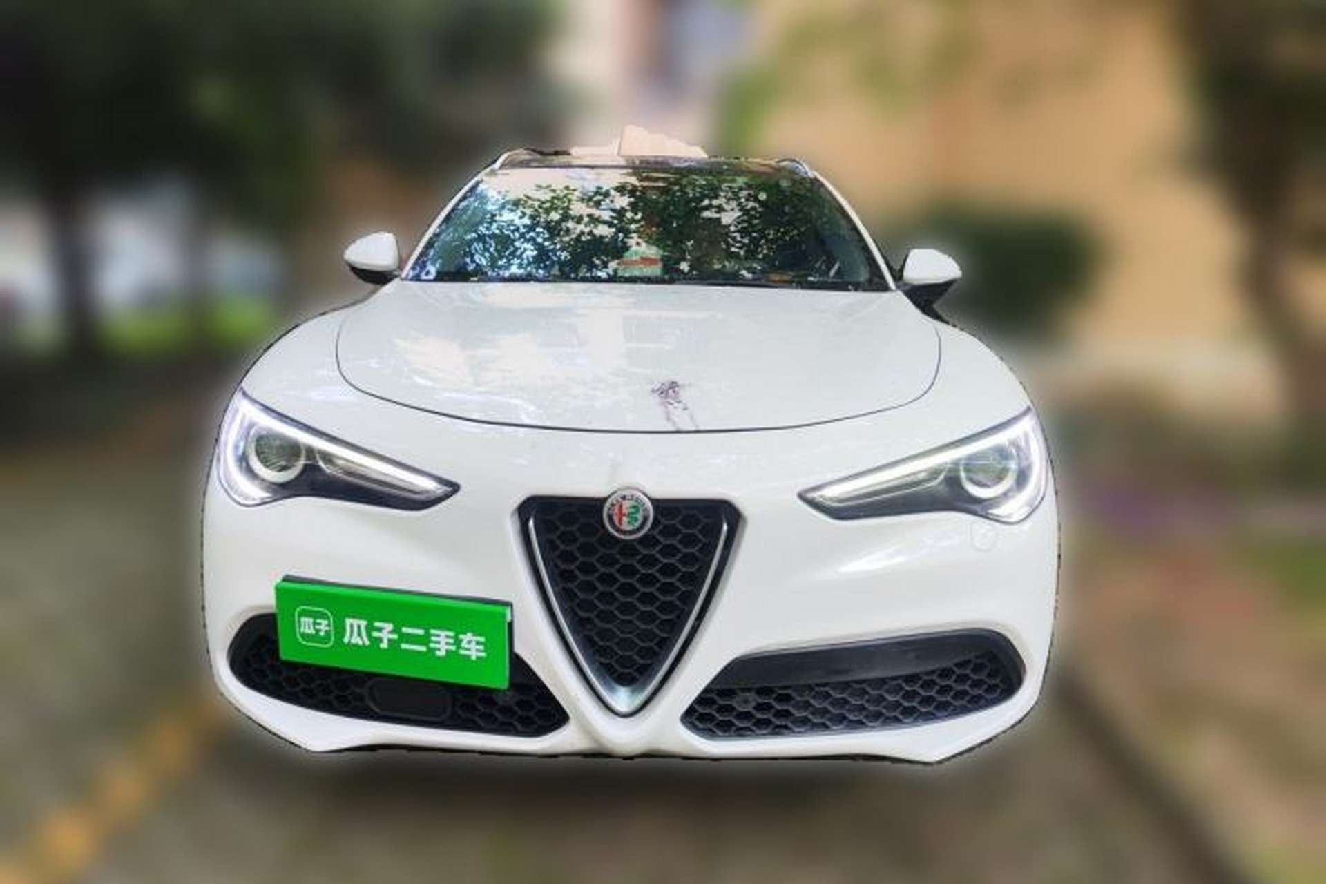 Used Alfa Romeo Stelvio 2017 2.0T 200HP Luxury Edition Front