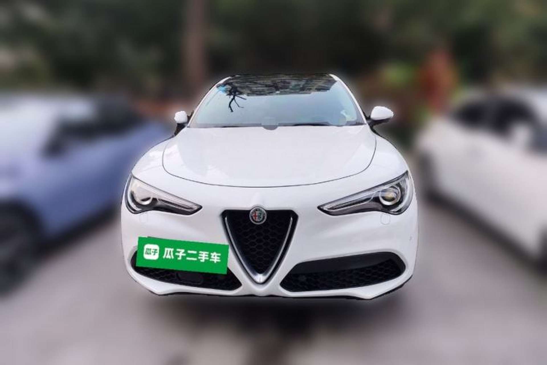 Used Alfa Romeo Stelvio 2017 2.0T 200HP Elite Edition Front
