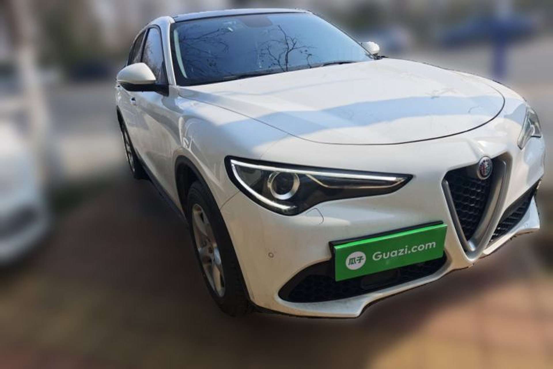 Used Alfa Romeo Stelvio 2017 2.0T 200HP Elite Edition Front Right 45 Deg