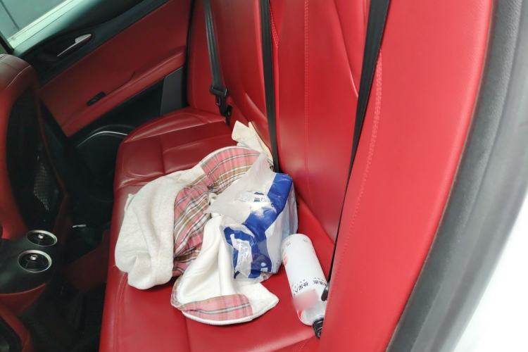 Used Alfa Romeo Stelvio 2017 2.0T 200HP Luxury Edition Left Rear Seat