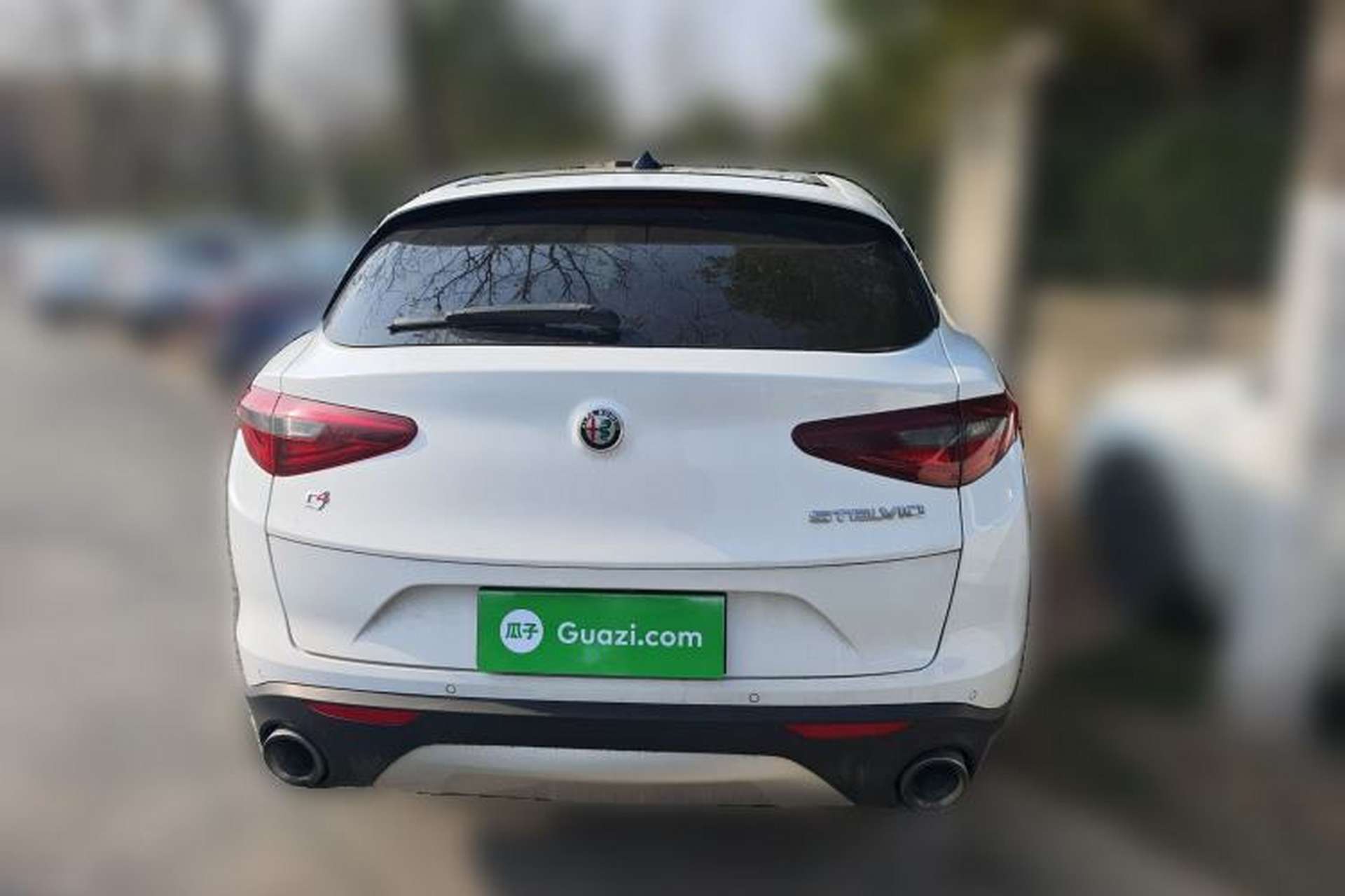 Used Alfa Romeo Stelvio 2017 2.0T 200HP Elite Edition Rear
