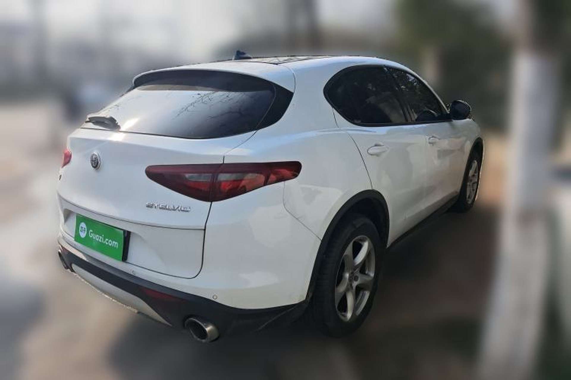Used Alfa Romeo Stelvio 2017 2.0T 200HP Elite Edition Rear Right 45 Deg