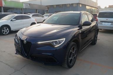 Used Alfa Romeo Stelvio 2019 2.0T 280HP Black Package Limited Edition