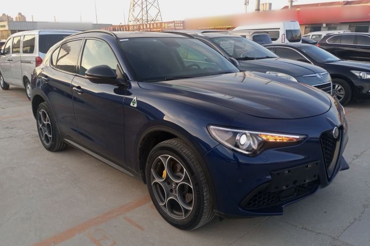 Used Alfa Romeo Stelvio 2019 2.0T 280HP Black Package Limited Edition Exterior 2