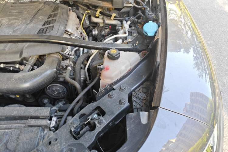 Used Alfa Romeo Stelvio 2019 2.0T 280HP Black Package Limited Edition Engine Bay Left
