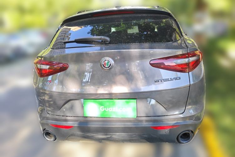 Used Alfa Romeo Stelvio 2019 2.0T 280HP Black Package Limited Edition Rear