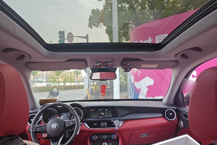 Used Alfa Romeo Stelvio 2019 2.0T 280HP Black Package Limited Edition Headliner