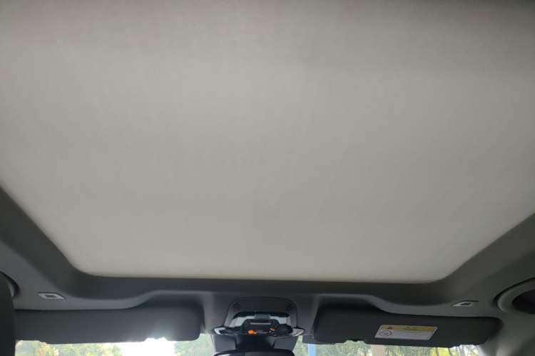 Used Alfa Romeo Stelvio 2020 2.0T 280HP Luxury Edition Headliner