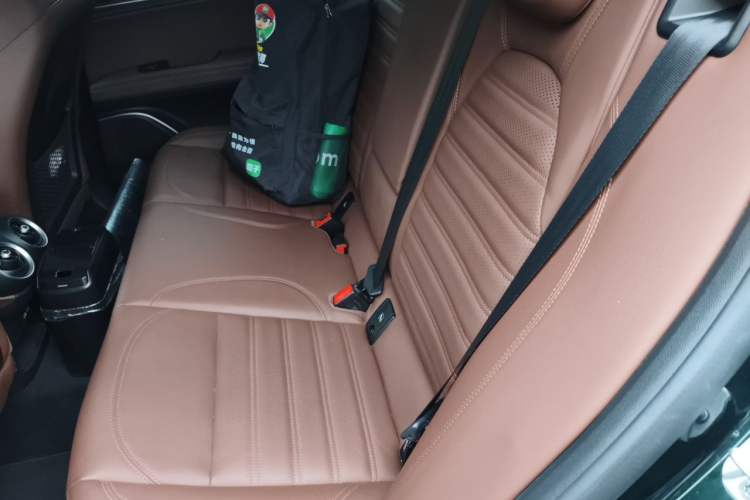 Used Alfa Romeo Stelvio 2020 2.0T 280HP Luxury Edition Left Rear Seat