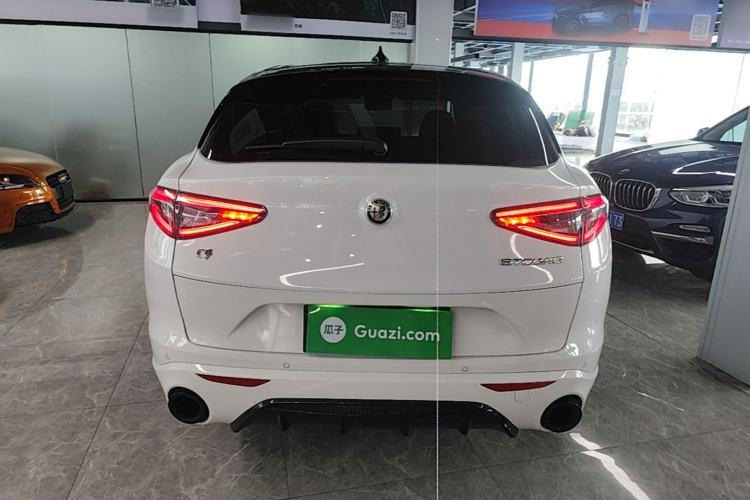 Used Alfa Romeo Stelvio 2024 2.0T 280HP Tributo Italiano Legend Tribute Edition Rear