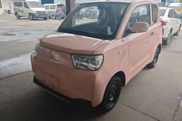 Used Anhui Liebao LEOPAARD CS01 EV 2024 Practical Type