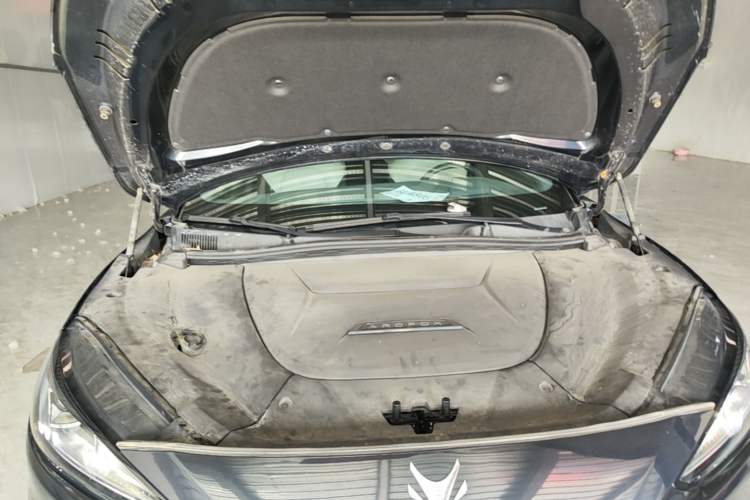 Used ARCFOX Alpha S 2021 708S+ 160kW Engine Bay