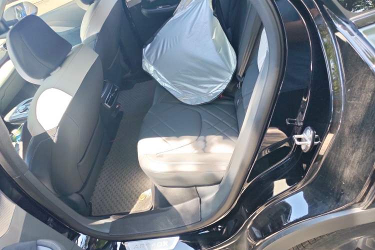 Used ARCFOX Alpha S 2023 603D Forest Edition 320kW Left Rear Seat
