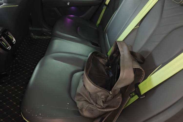 Used ARCFOX Alpha S5 2024 708MAX 200kW Left Rear Seat