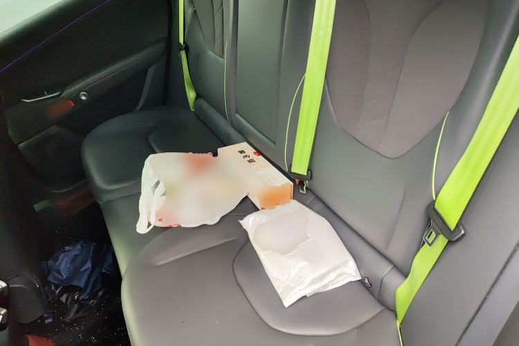 Used ARCFOX Alpha S5 2024 650ULTRA 390kW Left Rear Seat