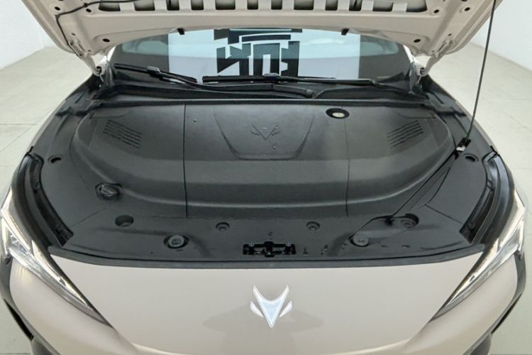 Used ARCFOX Alpha S5 2024 560PRO 185kW Engine Bay