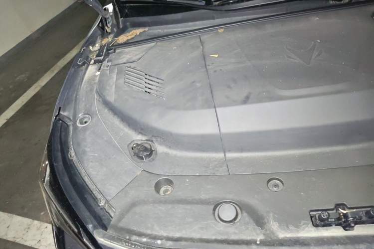 Used ARCFOX Alpha S5 2024 560PRO 185kW Engine Bay Right