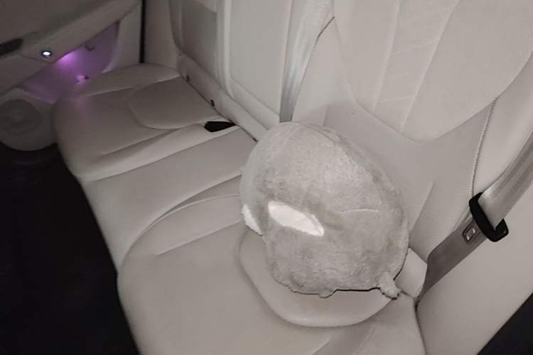 Used ARCFOX Alpha S5 2024 560MAX 185kW Left Rear Seat