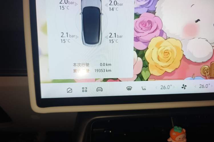 Used ARCFOX Alpha S5 2024 560PRO 185kW Odometer Close Up