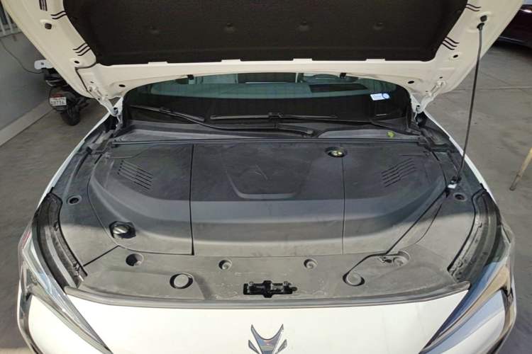 Used ARCFOX Alpha S5 2024 708MAX 200kW Engine Bay
