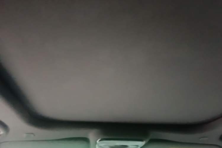 Used ARCFOX Alpha T  Headliner