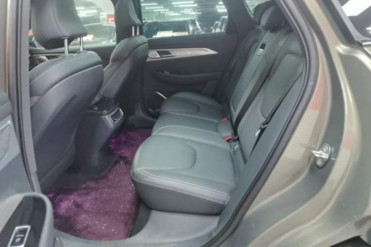 Used ARCFOX Alpha T 2021 600H Left Rear Seat