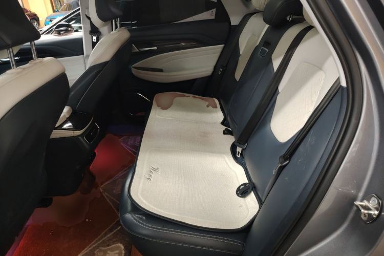 Used ARCFOX Alpha T 2021 600H Left Rear Seat