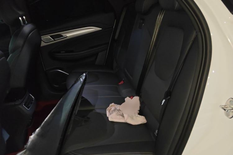 Used ARCFOX Alpha T 2021 480S 160kW Left Rear Seat