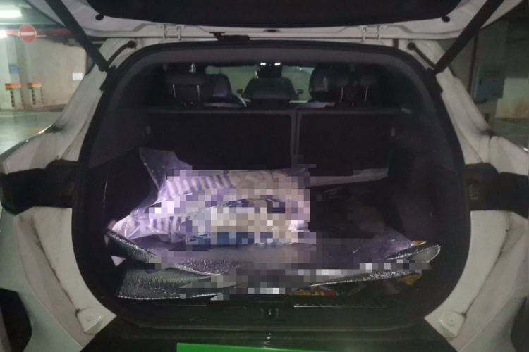 Used ARCFOX Alpha T 2023 480E Forest Edition 160kW Trunk