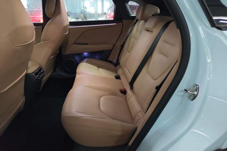 Used ARCFOX Alpha T5 2024 660 MAX Left Rear Seat