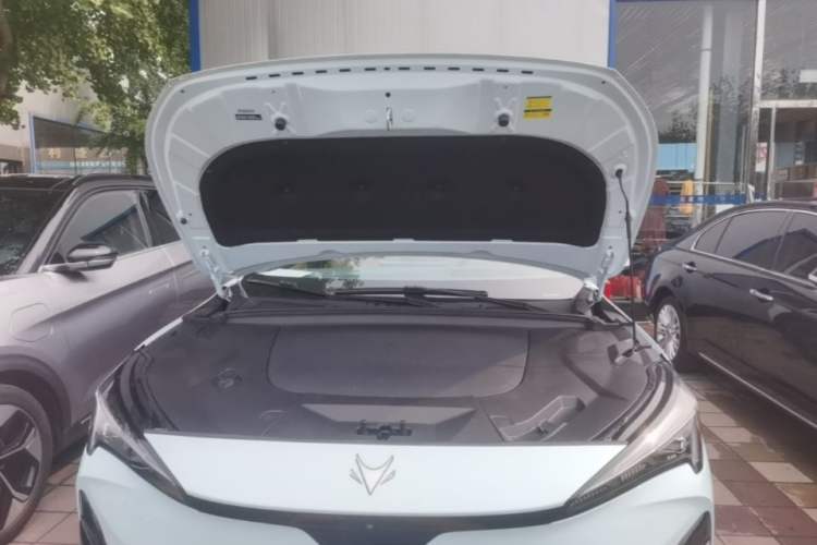 Used ARCFOX Alpha T5 2024 660 MAX Engine Bay
