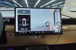 Thumbnail 19