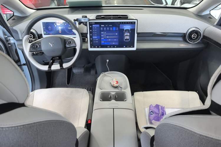 Used ARCFOX Kaola 2023 Family Edition Center Console