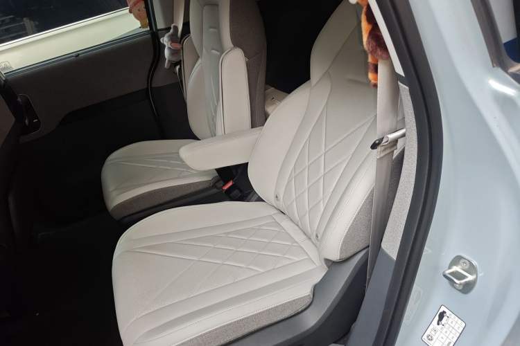 Used ARCFOX Kaola 2023 Family Edition Left Rear Seat