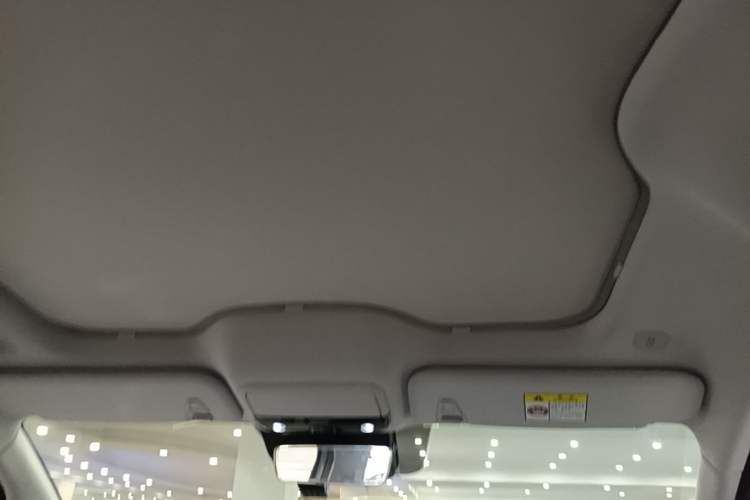 Used ARCFOX Kaola 2023 Parent-Child Edition Pro Headliner