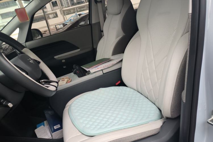 Used ARCFOX Kaola 2023 Family Edition Left Front Seat